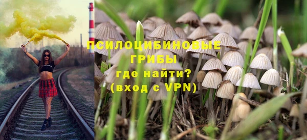 крисы Ивангород