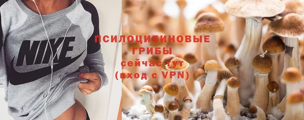 прущая мука Медвежьегорск