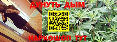 шишки Заводоуковск