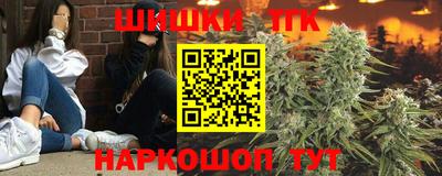 шишки Заводоуковск
