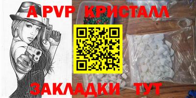 шишки Заводоуковск