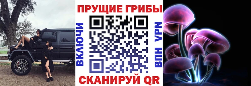 Галлюциногенные грибы MAGIC MUSHROOMS  Медногорск 
