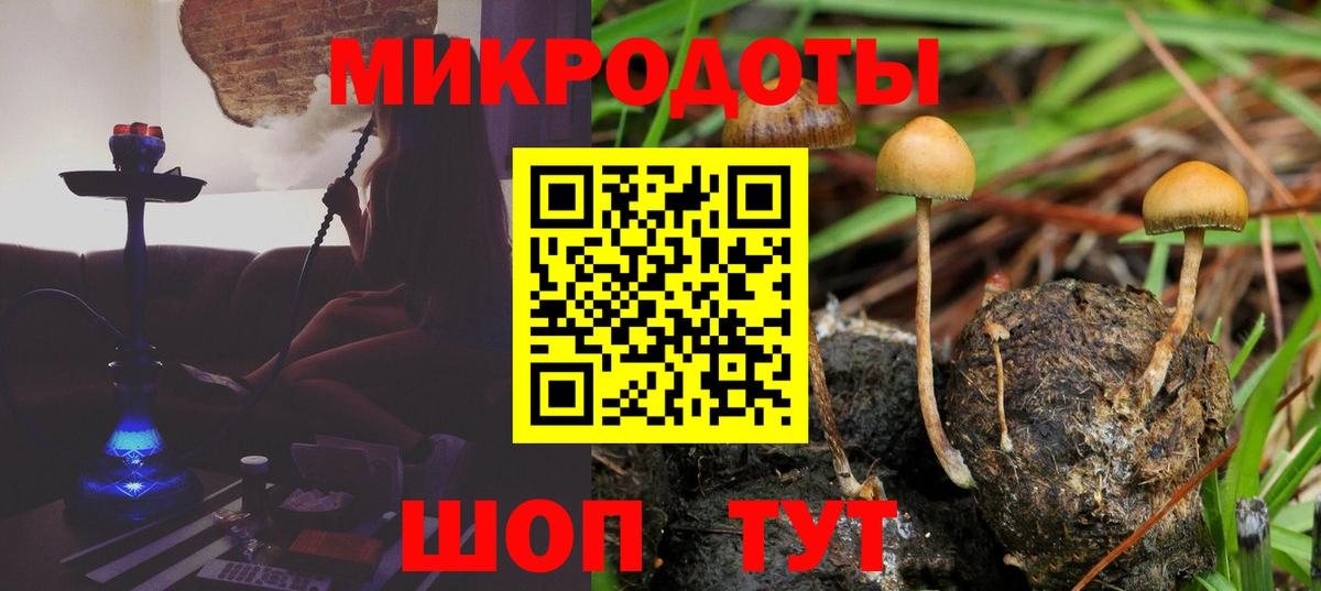 Псилоцибиновые грибы мухоморы Медногорск