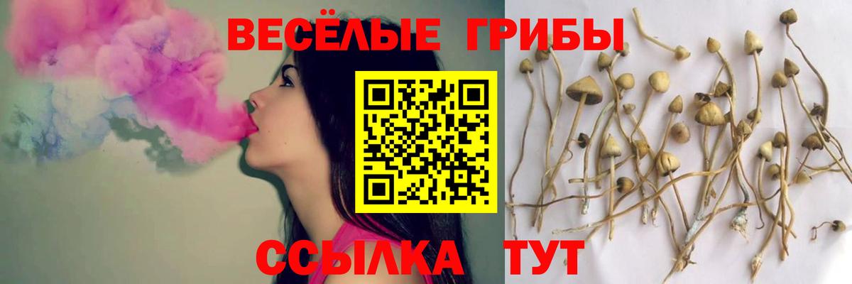 Псилоцибиновые грибы Magic Shrooms  Галлюциногенные грибы Psilocybe  дарнет шоп  Медногорск 